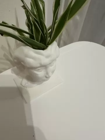 VISO VASO