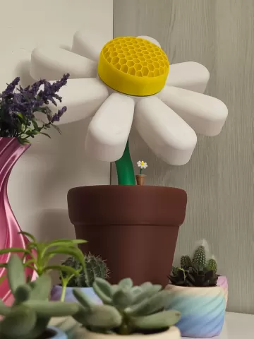 GOOGLE FLOWER