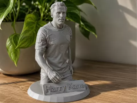 Harry Kane