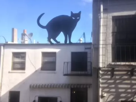 Black Cats - With simple image-to-3D-design tutorial - SMT M 🦊