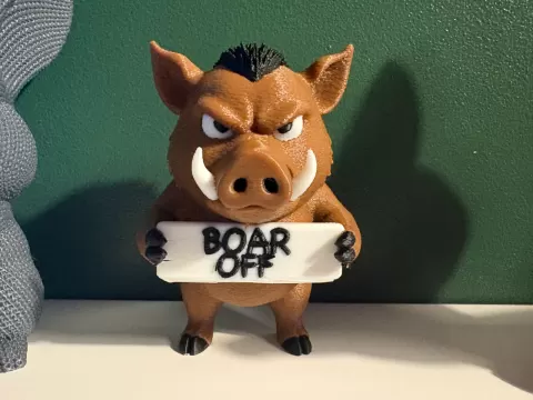 Cute but Grumpy Boar