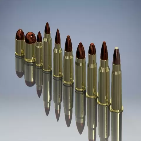 Snap Cap Bullets (DUMMY BULLETS)