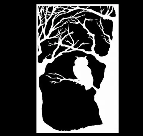 night forest