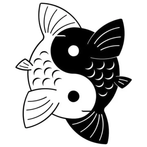 Yin Yang Pisces