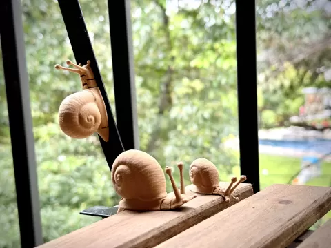 Flexi Snail