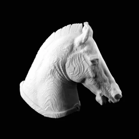 The Medici Riccardi Horse at The Museo Archeologico Nazionale, Florence by Oliver Laric