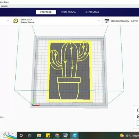 DECORATIVE WALL PAINTING CACTUS 2D