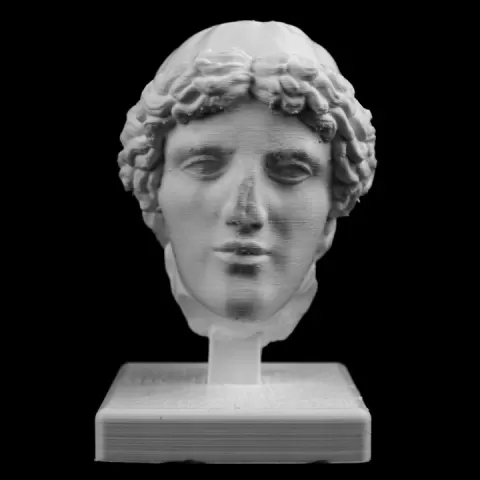 Head of Apollo at the Louvre, Paris, France by Scan The World