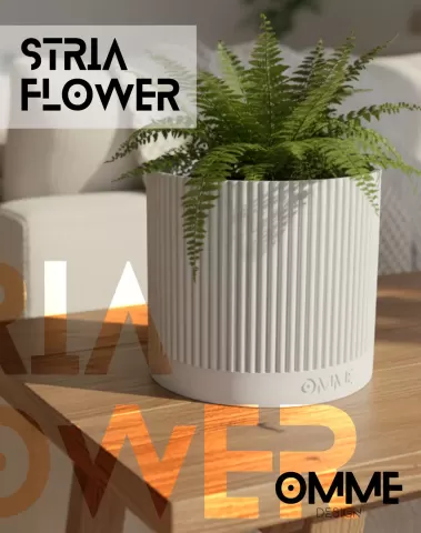 STRIA FLOWER