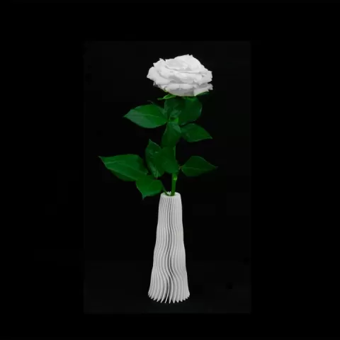 Twisted Vase "Laura" by Personal Drones