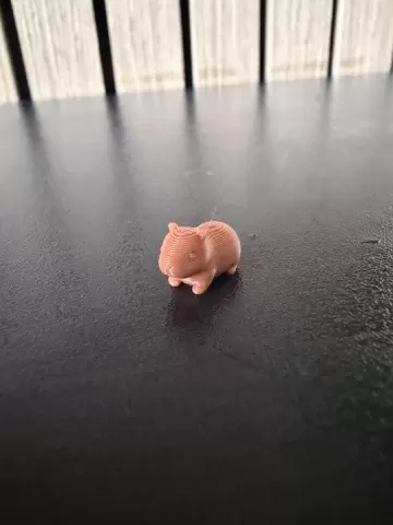 mini Capybara
