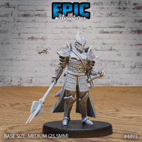 Platinum Paladin / Human Knight / Armored Warrior / Dragonslayer / Humanoid Hero / Drake Beast Tamer / Legendary Creature Hunter / Monster Fighter / Sword Master / Heroic Guard / Draconic Army by Epic-Miniatures