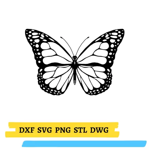 Design 168