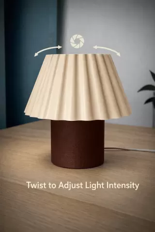 Adjustable Lamp | Iris Lamp | Light Control