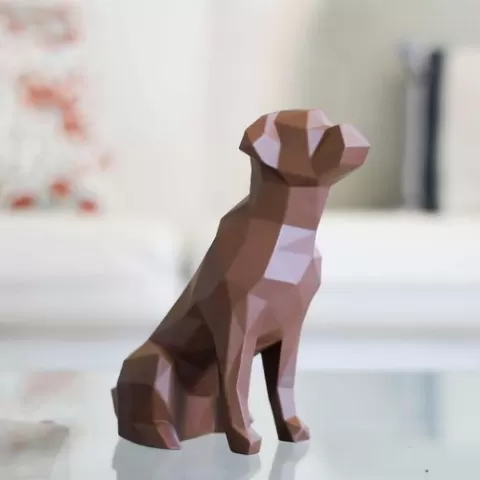 Boxer Dog Geometric