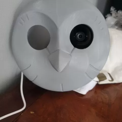 Hooty Security Camera Cover