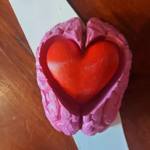 Brain-heart