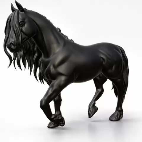 Friesian Horse