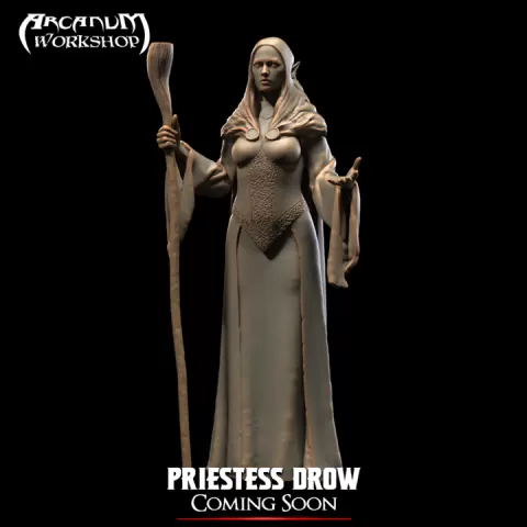 Drow Statue ( Decor Element) by Arcanum Workshop