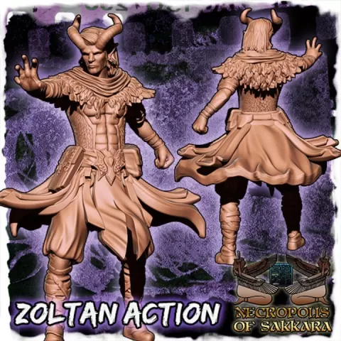 Zoltan the Sorcerer - Fantasy Collectors Miniature (commercial license) by Pharaoh's Workshop