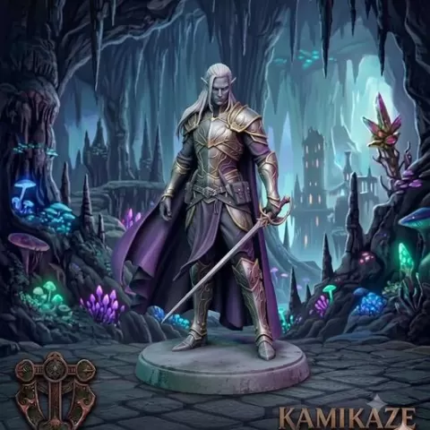 Drow Fighter