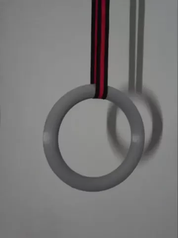 GYMNASTIC RINGS - BP3D