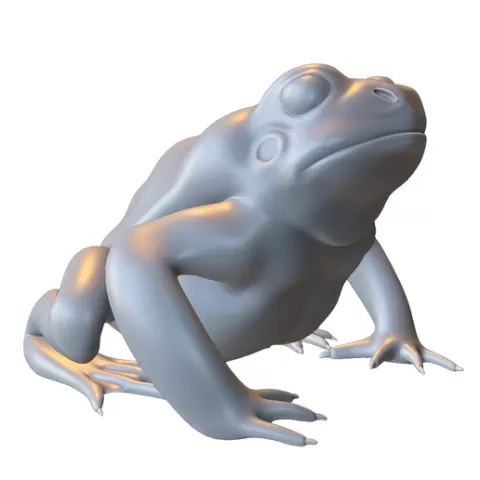 Realistic Frog