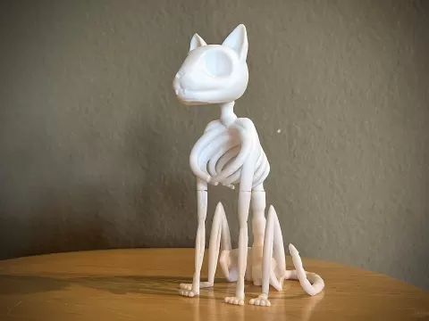 Stylized Cat Skeleton