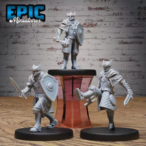 Knight Sir Rollant Set / Royal Male Warrior / Human Guard / Armored Fighter / Castle Encounter by Epic-Miniatures