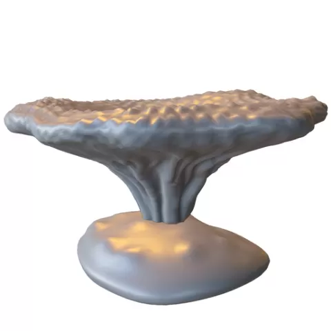 Fantasy Mushroom Platform
