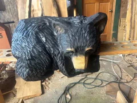 Sleeping Bear - Mountain