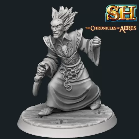 Elven Warlock by Stonehaven Miniatures