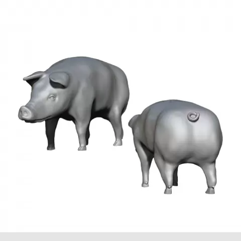 Pigs by August McDaniel