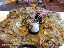against tenya shell mold