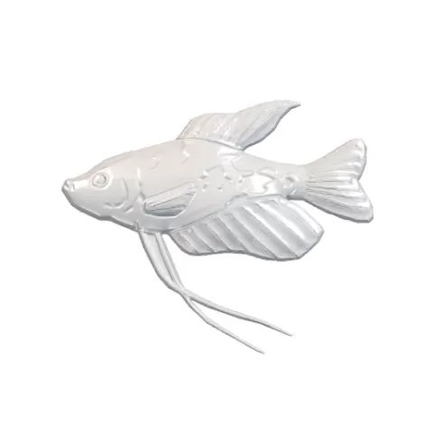 Gourami Angelfish Spotted Body Long Trailing Ventral Feeler Fins Fan Tail Carving STL CNC 3D Model