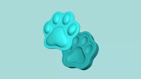 Cat Footstep - Silicone Mold -Template - guisommer