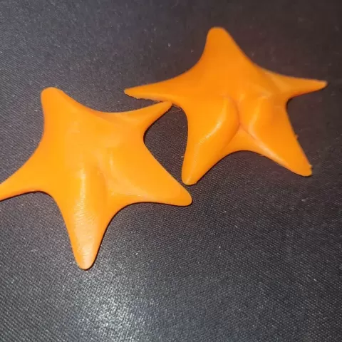 Big-butt starfish - Josue Tarron