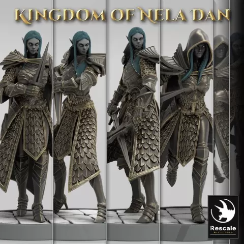 Pack infantry elves by Rescale Miniatures