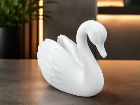 Swan animal