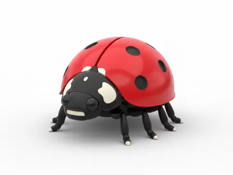 Marienkäfer - Brainbits3D