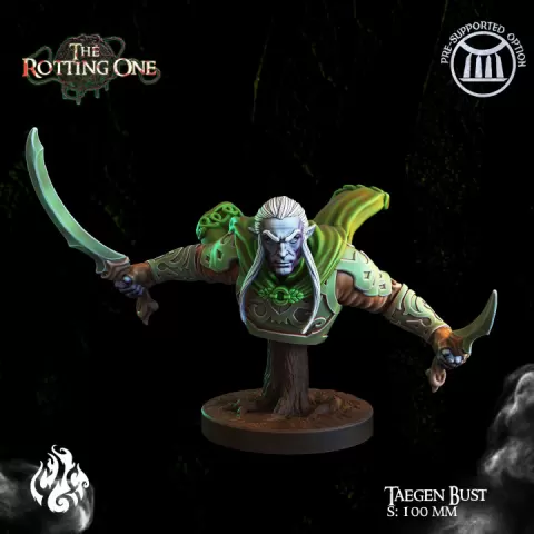 Taegen, Elf Ranger, Bust Version by Crippled God Foundry