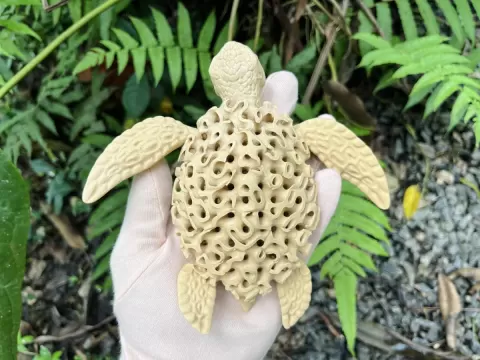 FLEXI CORAL TURTLE – Poseable Standing Turtle