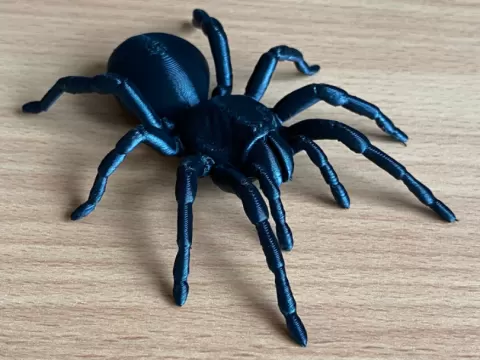 The most realistic tarantula