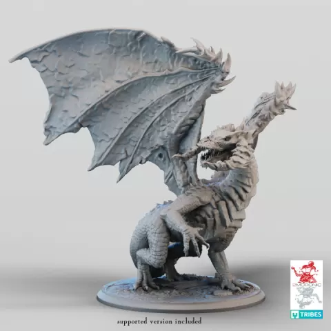 Black Dragon by 2moronic miniatures