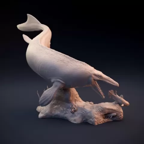 Mosasaur hunting Coelacanth