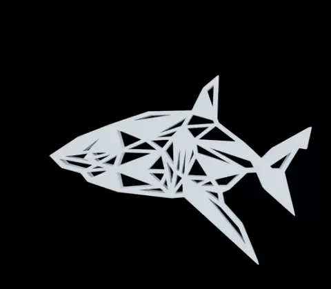 Shark