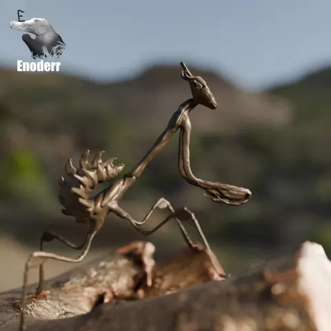 Mantis Empusa - Enoderr