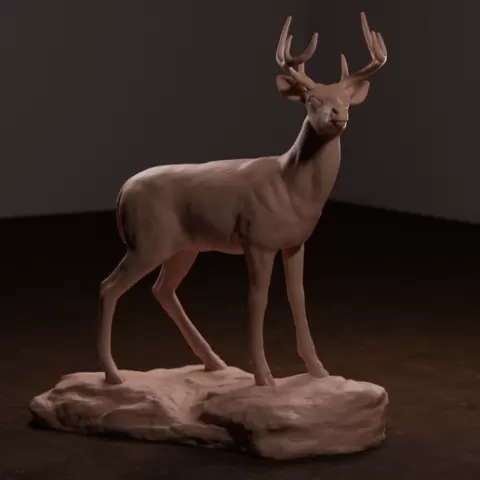 Whitetail Deer