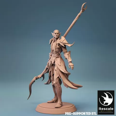 Elf Warrior Spear Challenge by Rescale Miniatures