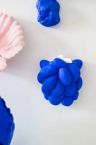 Bubble Coral